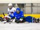 A Torino torna il Para Ice Hockey International Tournament