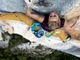 Annullati, complice il Coronavirus, gli Sport Climbing 2020 FISU World University Championship