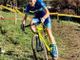 Corrado Cottin (repertorio)