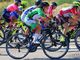 Ciclismo: Enea Bortolotti secondo nei G4 a Rosta