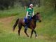 Equitazione: Brusson riabbraccia l'Endurance con un grande successo Equitazione: Brusson riabbraccia l'Endurance con un grande successo