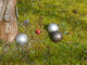 Petanque: Trionfo valdostano al Concours Dirigeants a Ginevra