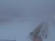 Nebbia a Pokljuka, cancellata l'individuale maschile. Si recupera giovedì 6 dicembre alle 10.15, nel pomeriggio le donne