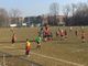 Rugby: Poule, lo Stade sconfitto 24 a 22 dal Cus Torino