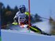 Pronta la squadra per Sochi (immagine da sito web neveitalia.it)