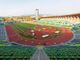 2022, l'atletica che verrà