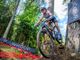 Nicole Pesse repertorio