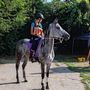 Endurance: bel podio per Gaia Commod a Serravalle a Po