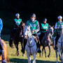 Torgnon Chevaux 2025: Jumping Torgnon, al via 4 week end di grande equitazione