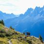 HOKA UTMB Mont-Blanc 2026: Apertura dei pettorali solidali e delle candidature per la PTL HOKA UTMB Mont-Blanc 2026: Apertura dei pettorali solidali e delle candidature per la PTL