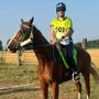 Frossasco, pioggia di piazzamenti per l'endurance valdostano: Costanza Garbetta sale sul podio nella 90 km Frossasco, pioggia di piazzamenti per l'endurance valdostano: Costanza Garbetta sale sul podio nella 90 km
