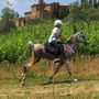 Martina Pisano nella long list in vista della FEI Endurance World Championship 2026