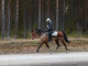 Equitazione: Positiva trasferta svedese per Stefania Marchiano