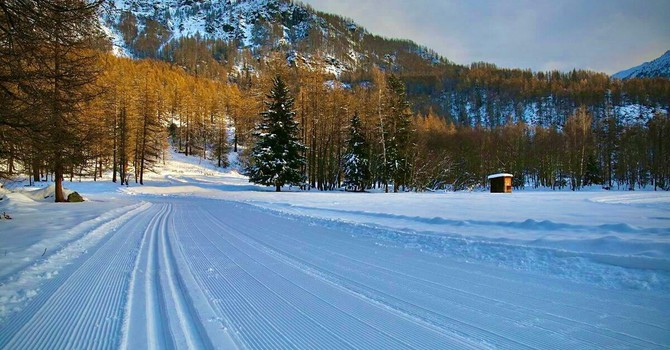 È arrivata la neve, la stagione dello sci di fondo può iniziare: dopo Gressoney, sabato nuove aperture in Valle d’Aosta È arrivata la neve, la stagione dello sci di fondo può iniziare: dopo Gressoney, sabato nuove aperture in Valle d’Aosta