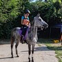 Endurance: bel podio per Gaia Commod a Serravalle a Po