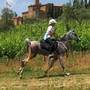 Martina Pisano nella long list in vista della FEI Endurance World Championship 2026 Martina Pisano nella long list in vista della FEI Endurance World Championship 2026