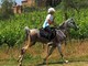 Martina Pisano nella long list in vista della FEI Endurance World Championship 2026 Martina Pisano nella long list in vista della FEI Endurance World Championship 2026