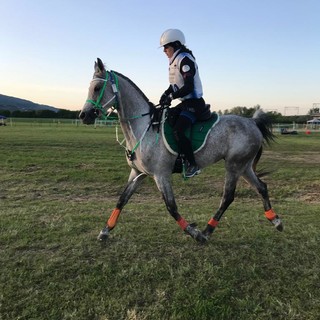 Equitazione: Ottimo risultato delle sorelle Pisano ad Arezzo