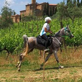 Martina Pisano nella long list in vista della FEI Endurance World Championship 2026