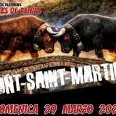 Batailles de Reines, a Pont-Saint-Martin si riaccende il cuore della Valle: 145 bovine verso il sogno della Croix-Noire Batailles de Reines, a Pont-Saint-Martin si riaccende il cuore della Valle: 145 bovine verso il sogno della Croix-Noire