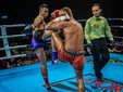 Singdam in azione