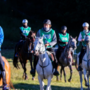 Torgnon Chevaux 2025: Jumping Torgnon, al via 4 week end di grande equitazione