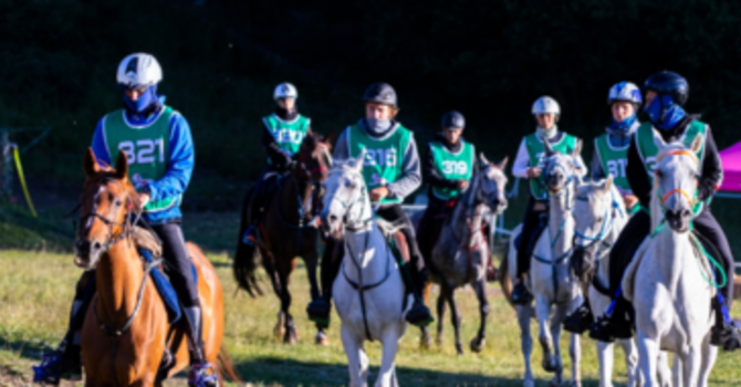 Torgnon Chevaux 2025: Jumping Torgnon, al via 4 week end di grande equitazione