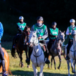 Torgnon Chevaux 2025: Jumping Torgnon, al via 4 week end di grande equitazione