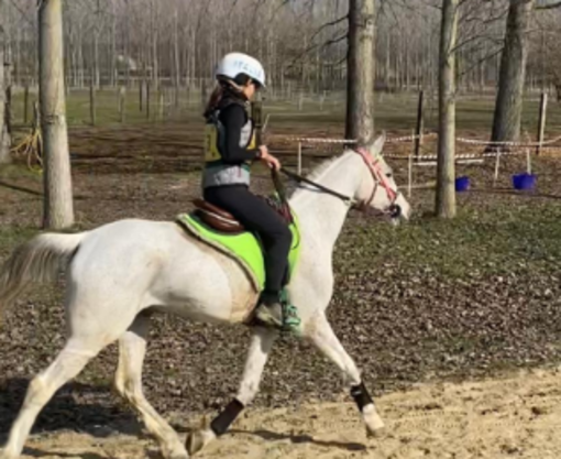 Equitazione: Alessia Lustrissy trionfa a Sannazzaro