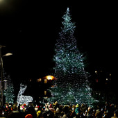 Foto acmediapress Foto acmediapress