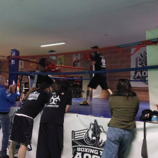 Boxe: Scapin supera gli ottavi, Pandolfini si ferma ai punti nei Campionati piemontesi