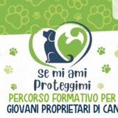 A scuola di cani: ad Aosta torna il percorso per i giovani proprietari, cinque appuntamenti per imparare a convivere con gli amici a quattro zampe
