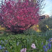 Il gusto della cultura: ad Aosta un viaggio tra cibo, arte e letteratura