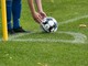 Erba campo da calcio: soluzioni moderne per impianti sportivi efficienti