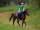 Equitazione: Brusson riabbraccia l'Endurance con un grande successo Equitazione: Brusson riabbraccia l'Endurance con un grande successo