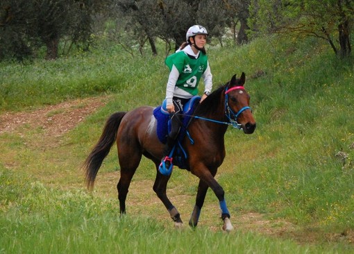 Equitazione: Brusson riabbraccia l'Endurance con un grande successo Equitazione: Brusson riabbraccia l'Endurance con un grande successo