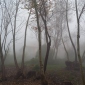 Suggestione (ph. M. Carlesso)