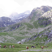 Presunto danno erariale si riduce di oltre un milione di euro Presunto danno erariale si riduce di oltre un milione di euro