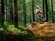 Pila Bike Park, l'8 agosto inaugura il trail La Stella Pila Bike Park, l'8 agosto inaugura il trail La Stella