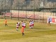 Esulta il Varese dopo il secondo gol di Ebagua Esulta il Varese dopo il secondo gol di Ebagua