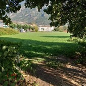 L'area verde che vogliono cementificare