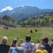 Ayas, la tradizione delle Reines conquista Periasc: quasi 3.000 persone per una festa di territorio Ayas, la tradizione delle Reines conquista Periasc: quasi 3.000 persone per una festa di territorio