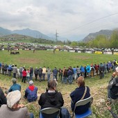 Batailles de Reines: A Jovençan vince l’identità degli allevatori con Pazzeska, Tigre e Euforie; Corbò reina del peso Batailles de Reines: A Jovençan vince l’identità degli allevatori con Pazzeska, Tigre e Euforie; Corbò reina del peso