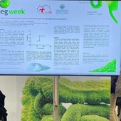 Il gruppo di Gastroenterologia dell’ospedale “Parini” premiato al più importante convegno europeo della disciplina Il gruppo di Gastroenterologia dell’ospedale “Parini” premiato al più importante convegno europeo della disciplina