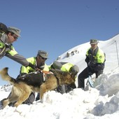 Foto repertorio Foto repertorio